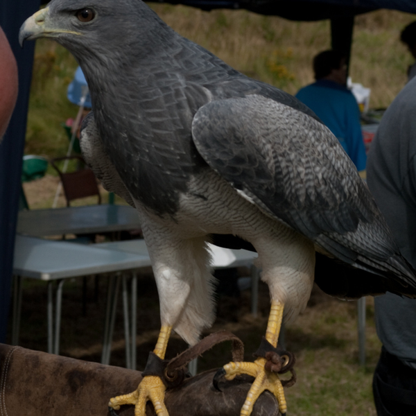 photographybyduncanholmes_3757966997_burghead2009 (34 of 73).jpg